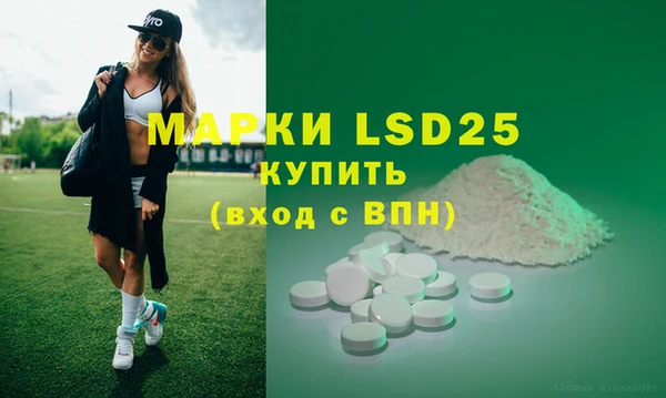 гашик Ладушкин